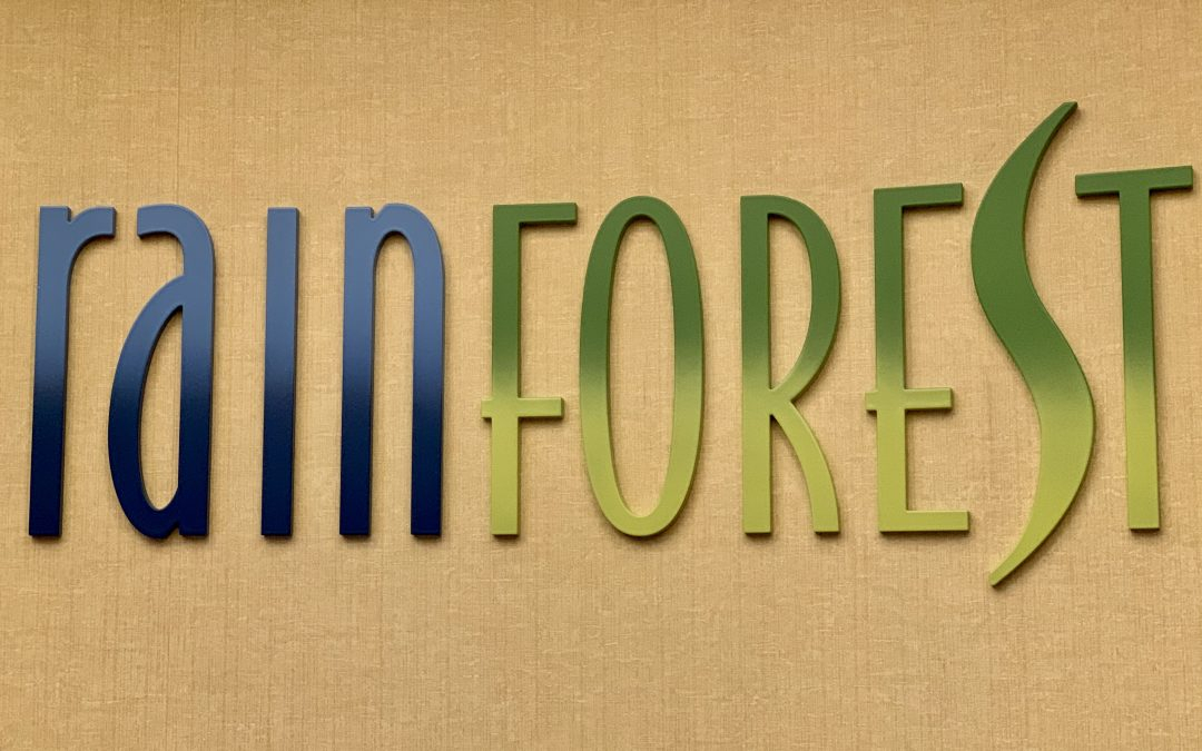 Rainforest at Senses Spa on Disney Cruise Line